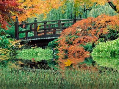 Autumn Scenery Wallpaper screenshot
