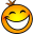 DVD Slim Free Icon