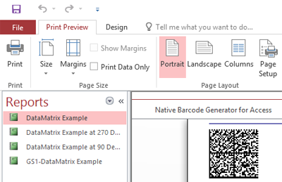 Data Matrix Native Access Barcode screenshot