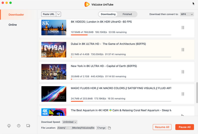VidJuice UniTube for Mac screenshot