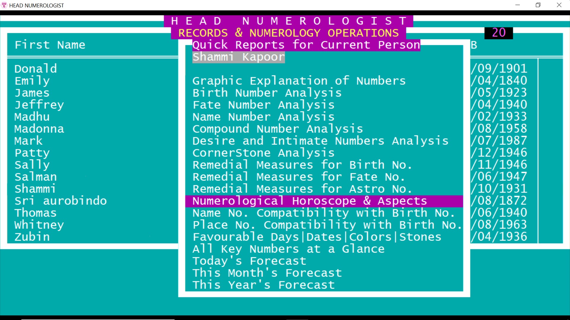 Head Numerologist screenshot