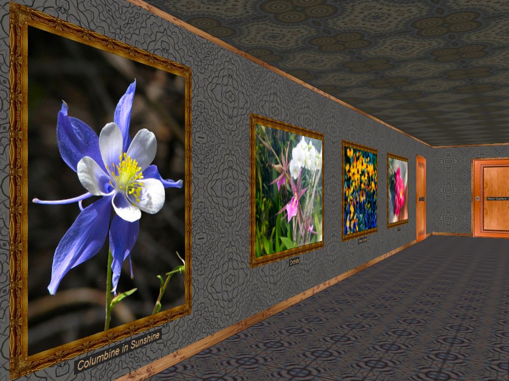Phota Flowers Screensaver screenshot