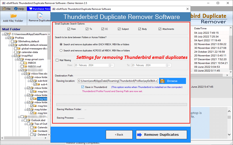 Duplicate Remover for Thunderbird screenshot