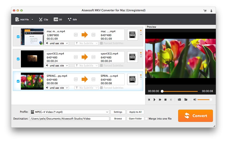 Aiseesoft MKV Converter for Mac screenshot