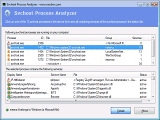 Svchost Process Analyzer screenshot