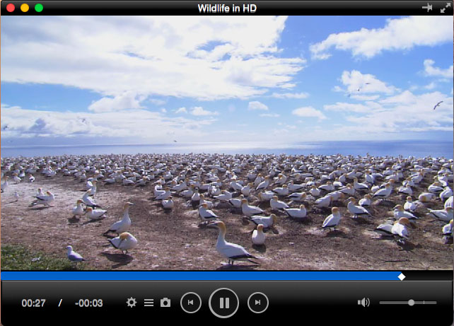 Total Video Player Pro for Mac screenshot