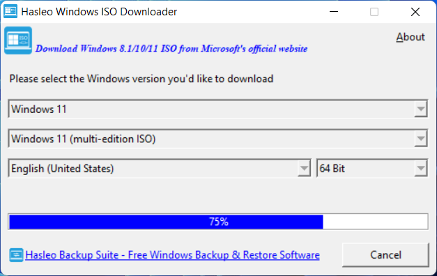 Hasleo Windows ISO Downloader screenshot