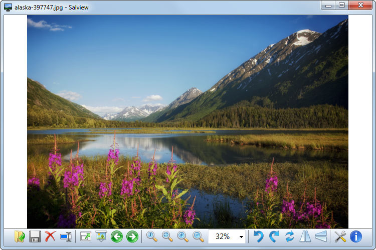 Salview screenshot
