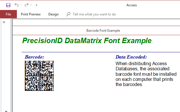 PrecisionID Data Matrix Barcode Fonts screenshot