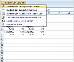 Random Sort Order in Excel screenshot